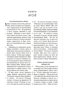 Bibel Synodal Version (einfarbig), Russisch